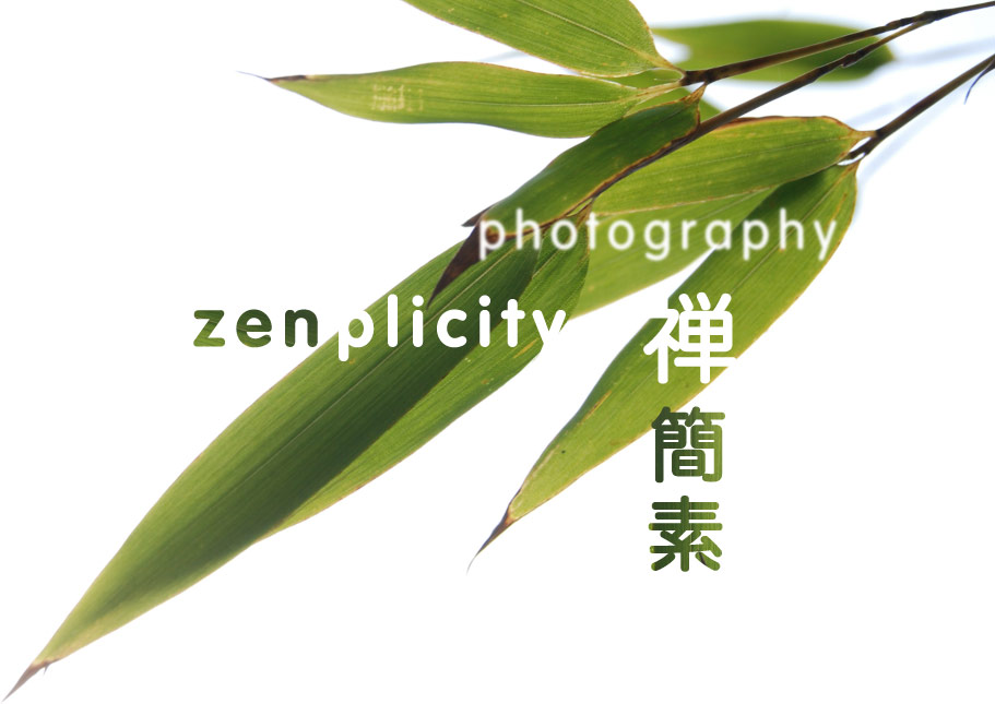 Slideshow Image 5